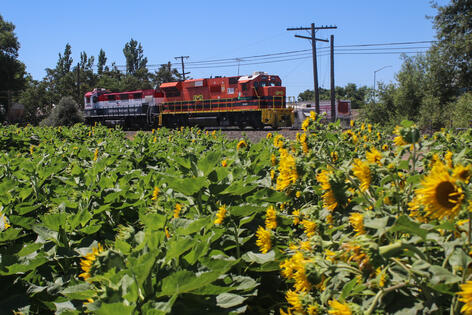 California Northern 2022