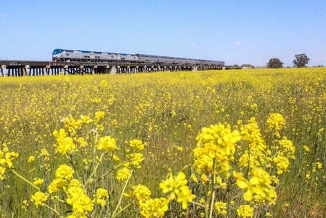 California Zephyr 2021