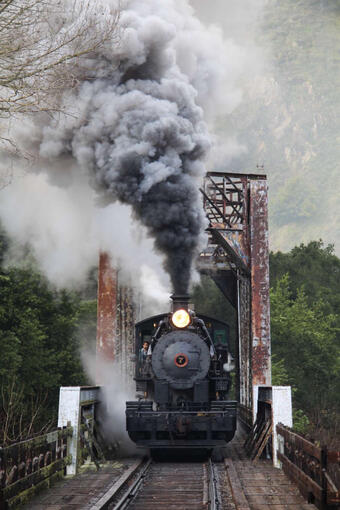 Photo of Skookum, taken at Niles Canyon in 2020